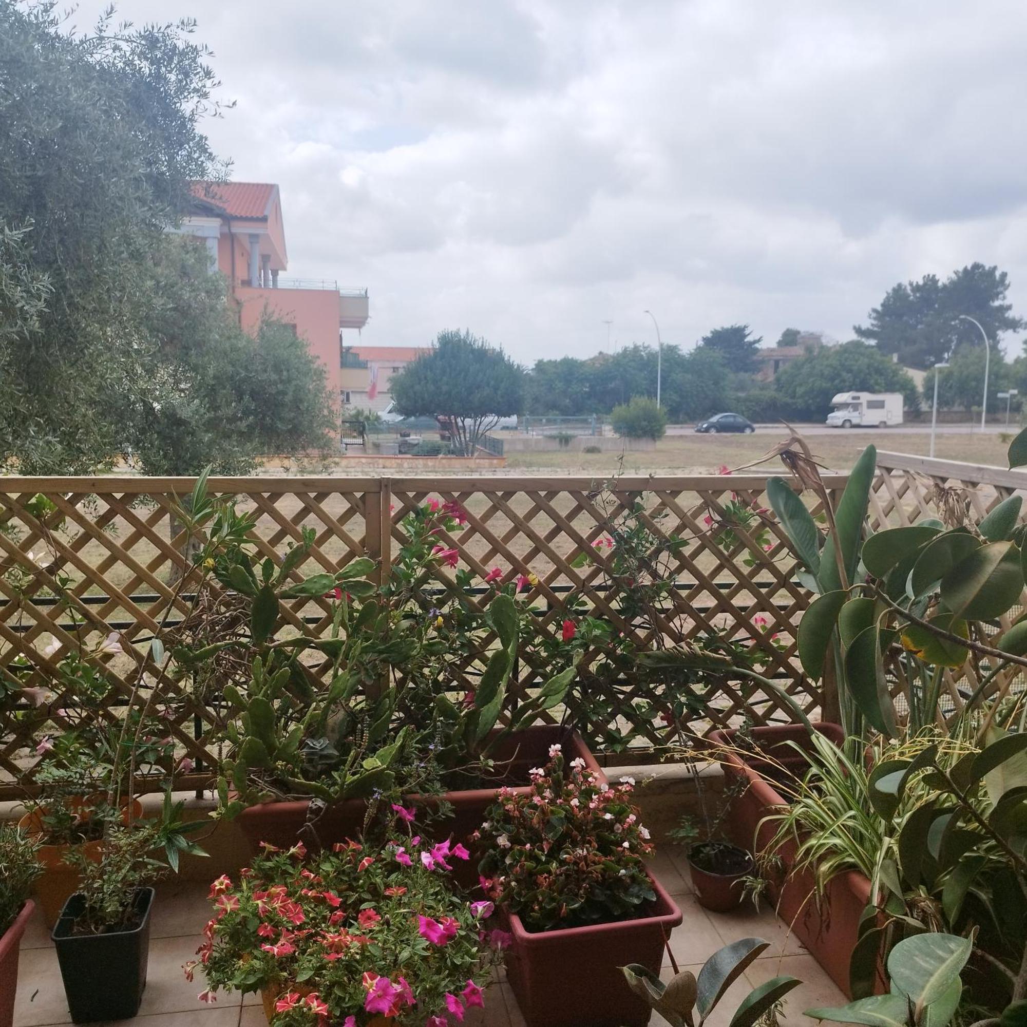 Alghero Lovely Flat Appartement Buitenkant foto