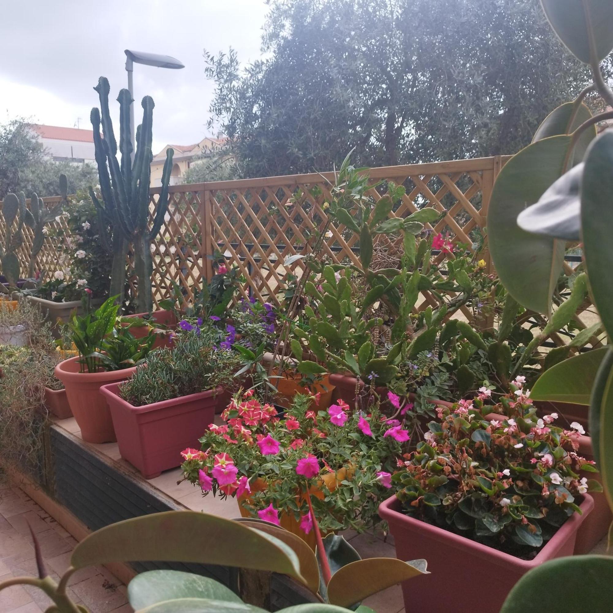 Alghero Lovely Flat Appartement Buitenkant foto
