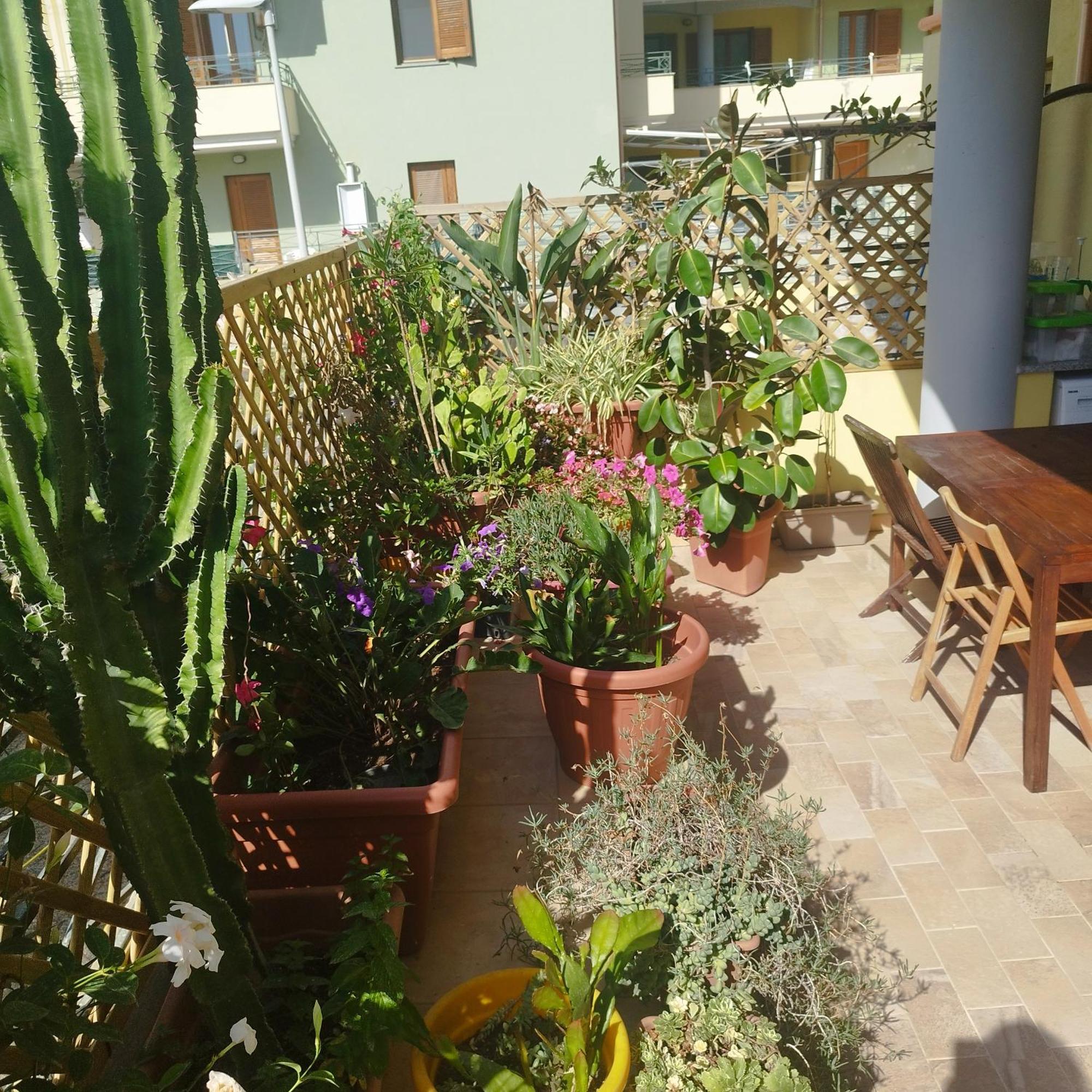 Alghero Lovely Flat Appartement Buitenkant foto