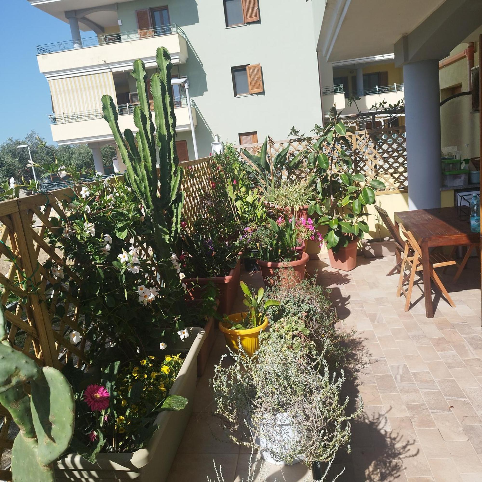 Alghero Lovely Flat Appartement Buitenkant foto
